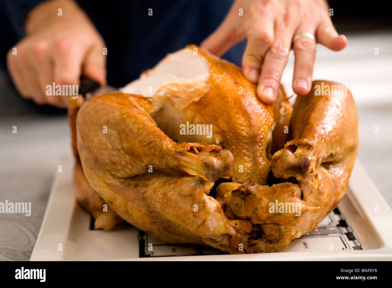 Turkey Dinner Stock Photo