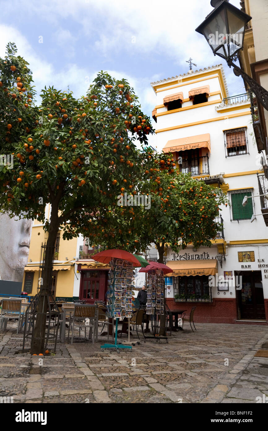 Old court building seville hi-res stock photography and images - Alamy