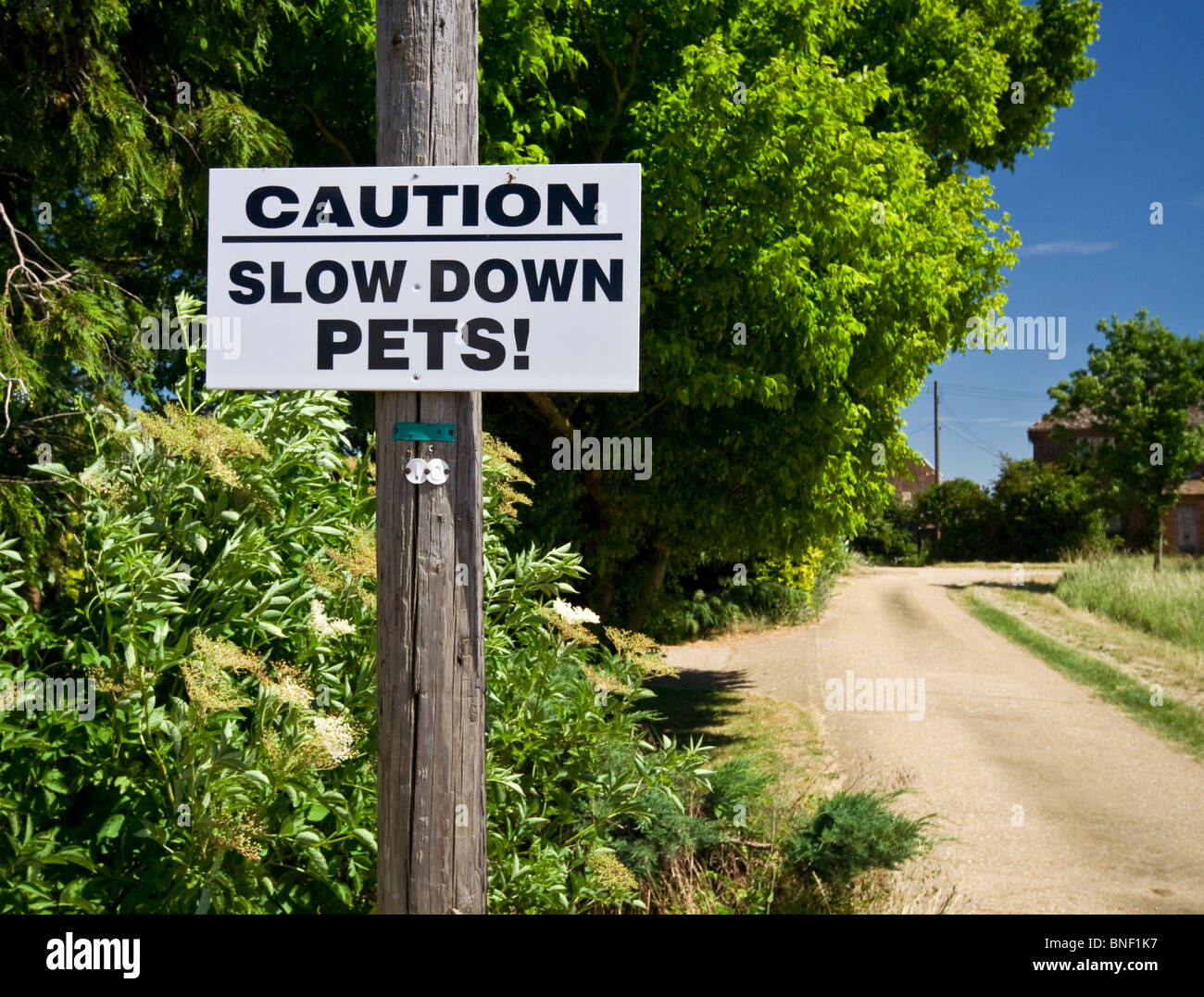 A caution sign nailed to a wooden telegraph pole on a country lane Stock Photo