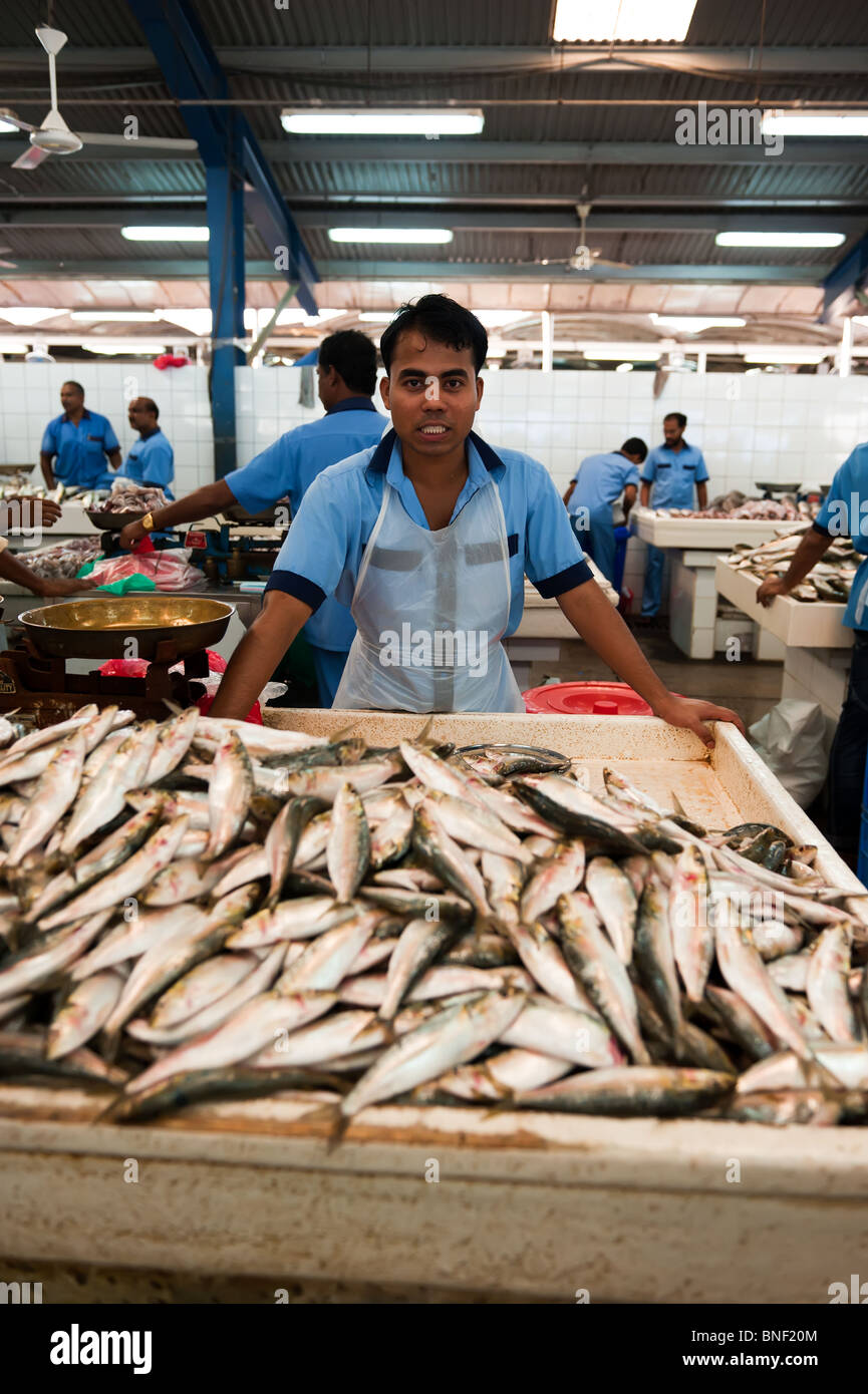 Dubai fish market, Dubai, UAE Stock Photo Alamy