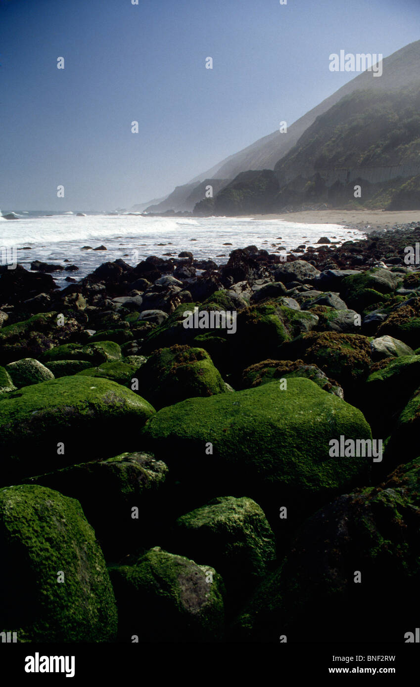 Moss covered rocks in sea hi-res stock photography and images - Alamy