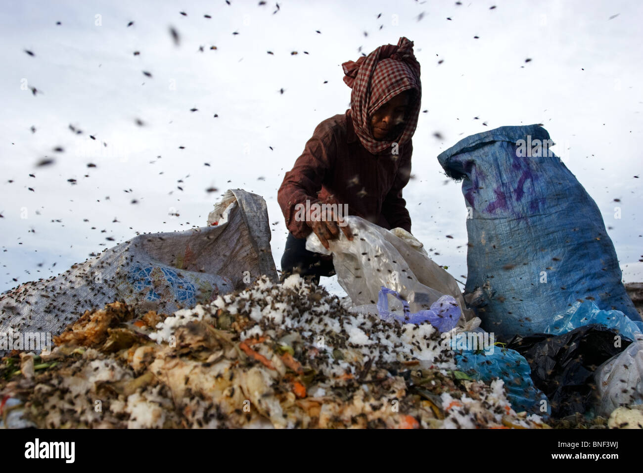 a woman surrounded by flies scavenges at the garbage dump in Phnom Penh, Cambodia Stock Photo