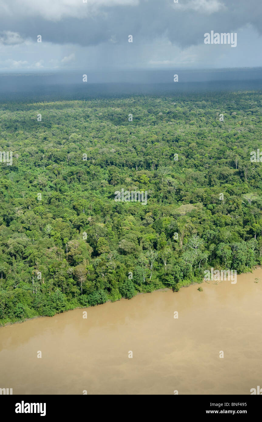 Aerial view of a river in a forest, Amazon River, Loreto Region, Peru ...