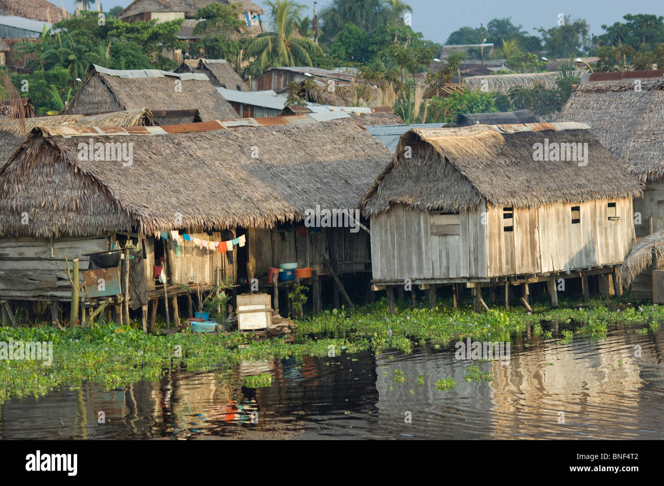 Stilt houses at the waterfront, Requena, Rio Tapiche, Loreto Region ...