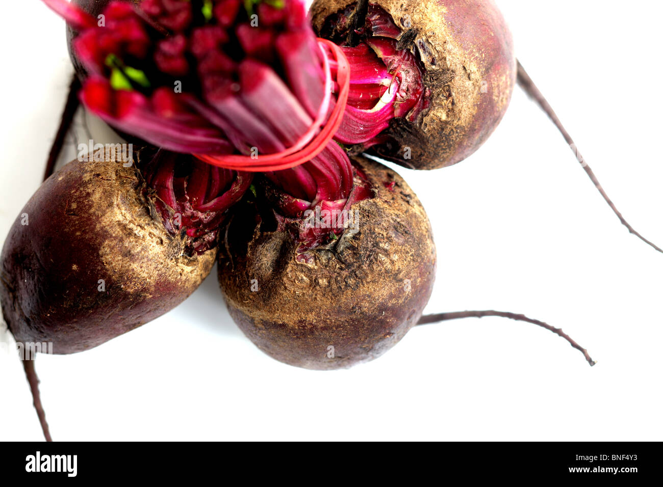 Bunch Of Healthy Ripe Beetroot Root Crop Ready To Cook Against A White ...