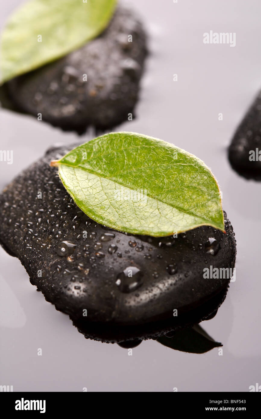 Zen Stones And Leaves With Water Drops Stock Photo Alamy