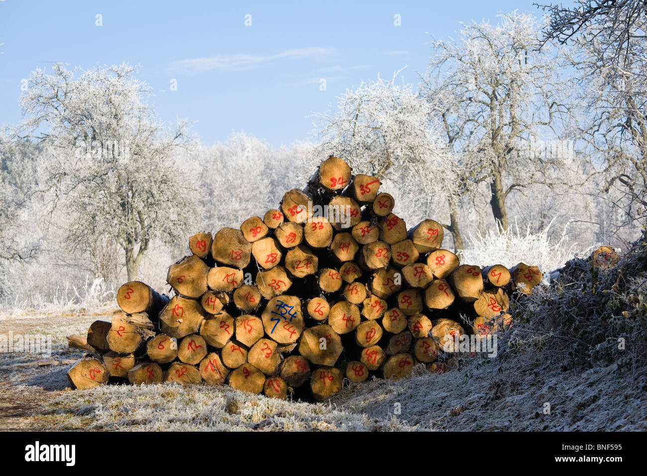 heap of numbered logs in a winter landscape, Germany, Baden-Wuerttemberg, Odenwald Stock Photo