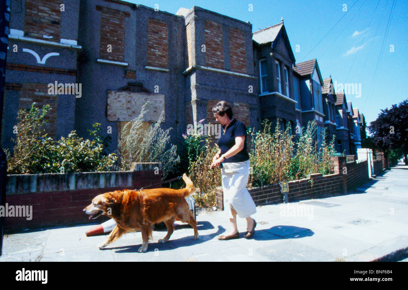 One of the few residents left on the street, a woman walks her dog past derelict boarded up houses for redevelopment, Plumstead, South East London UK Stock Photo