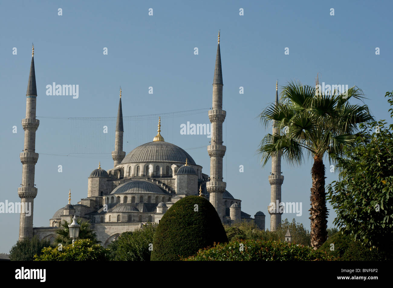 The Blue Mosque located in the Sultanahmet District in Istanbul, Turkey ...