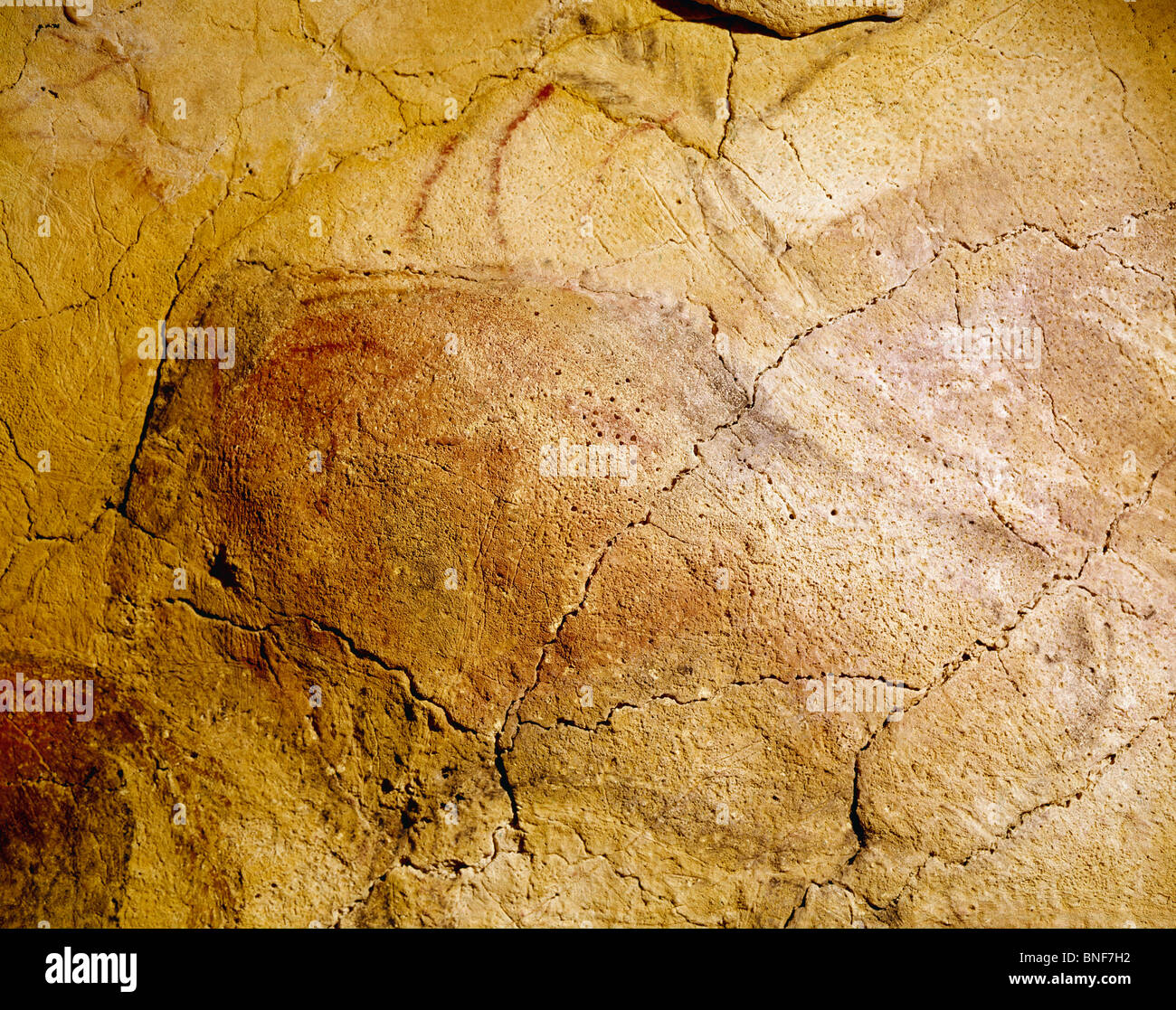 Spain, Santillana del Mar, Altamira Caves, Cave Paintings, Prehistoric Art Stock Photo