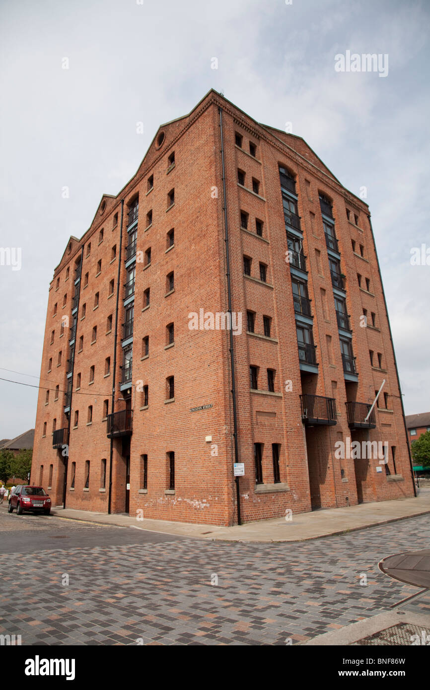 Redeveloped warehouses Hull Marina Complex Yorkshire UK Stock Photo