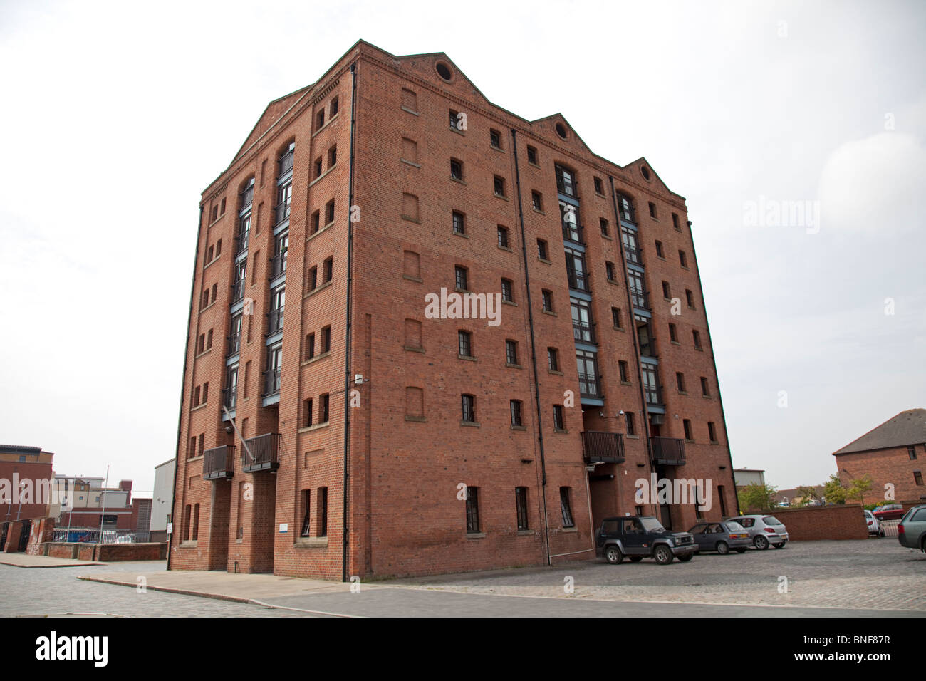 Flats in redeveloped warehouses Hull Marina Complex Yorkshire UK Stock Photo