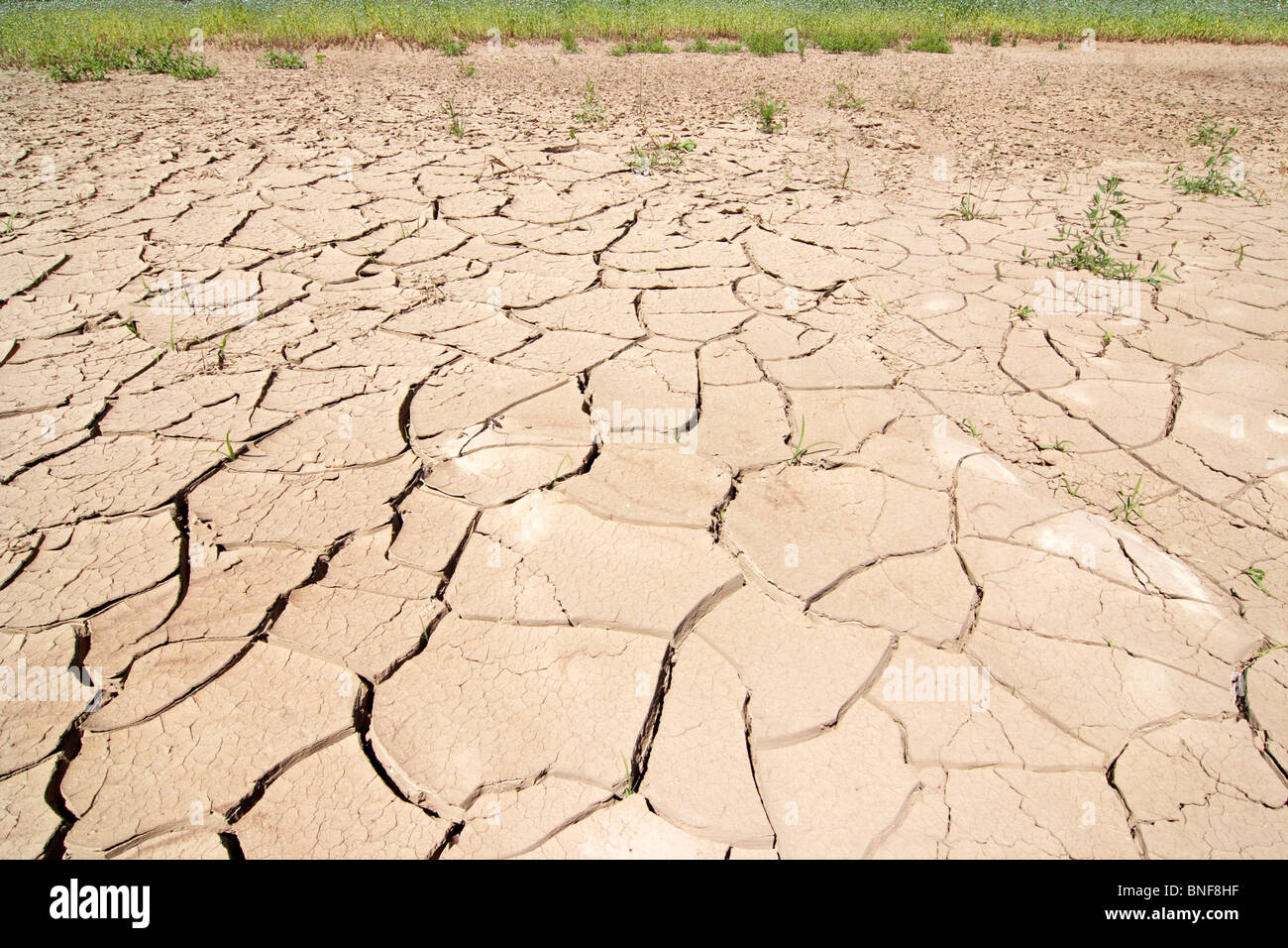 cracked ground - dry season Stock Photo