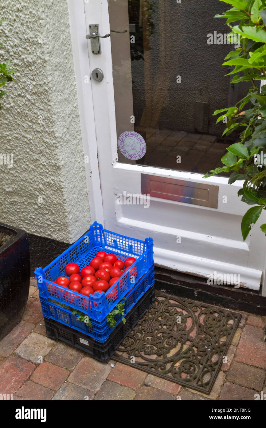 Crates of tomatoes and fresh vegetables delivered to a restaurant. Blue and black plastic crates have been left on the doorstep. Stock Photo