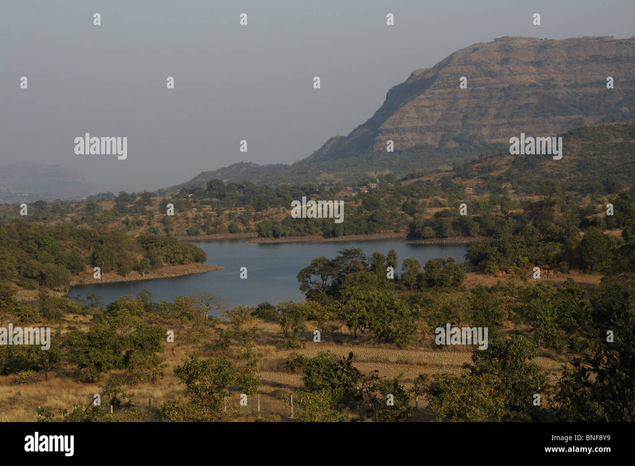 Tail End of Mulshi Backwater. Mulshi is the name of a major dam on the Mula river located in the Taluka Mulshi administrative Stock Photo