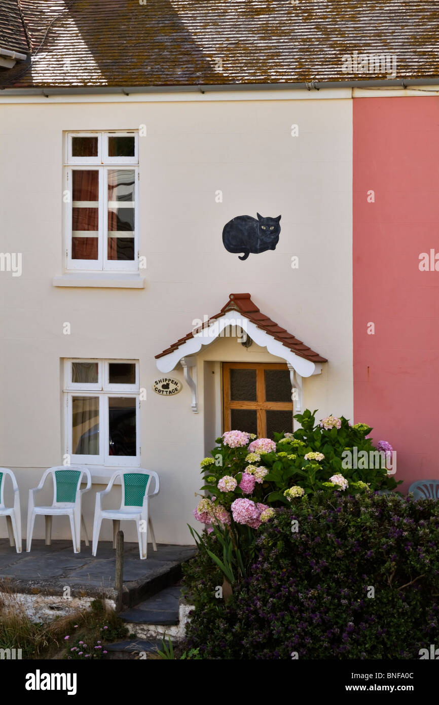 Shippen Cottage, holiday home at Hope Cove, South Hams, Devon. A grey cat painted on the wall watches over the front garden. Stock Photo