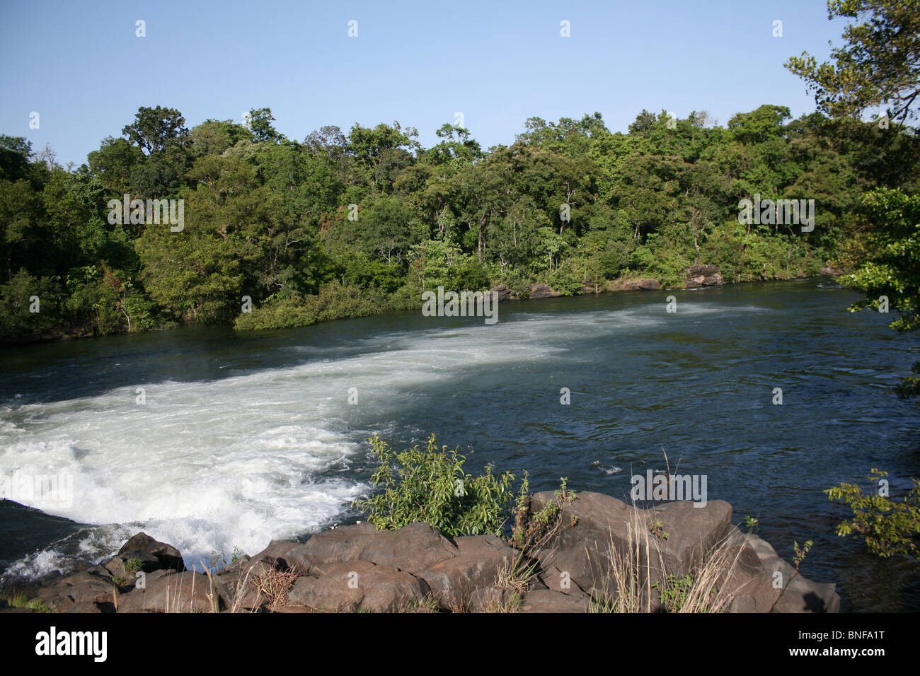 Rapid(small waterfall) on Kaali River. Place-Dandeli WLS(Karnataka) Stock Photo