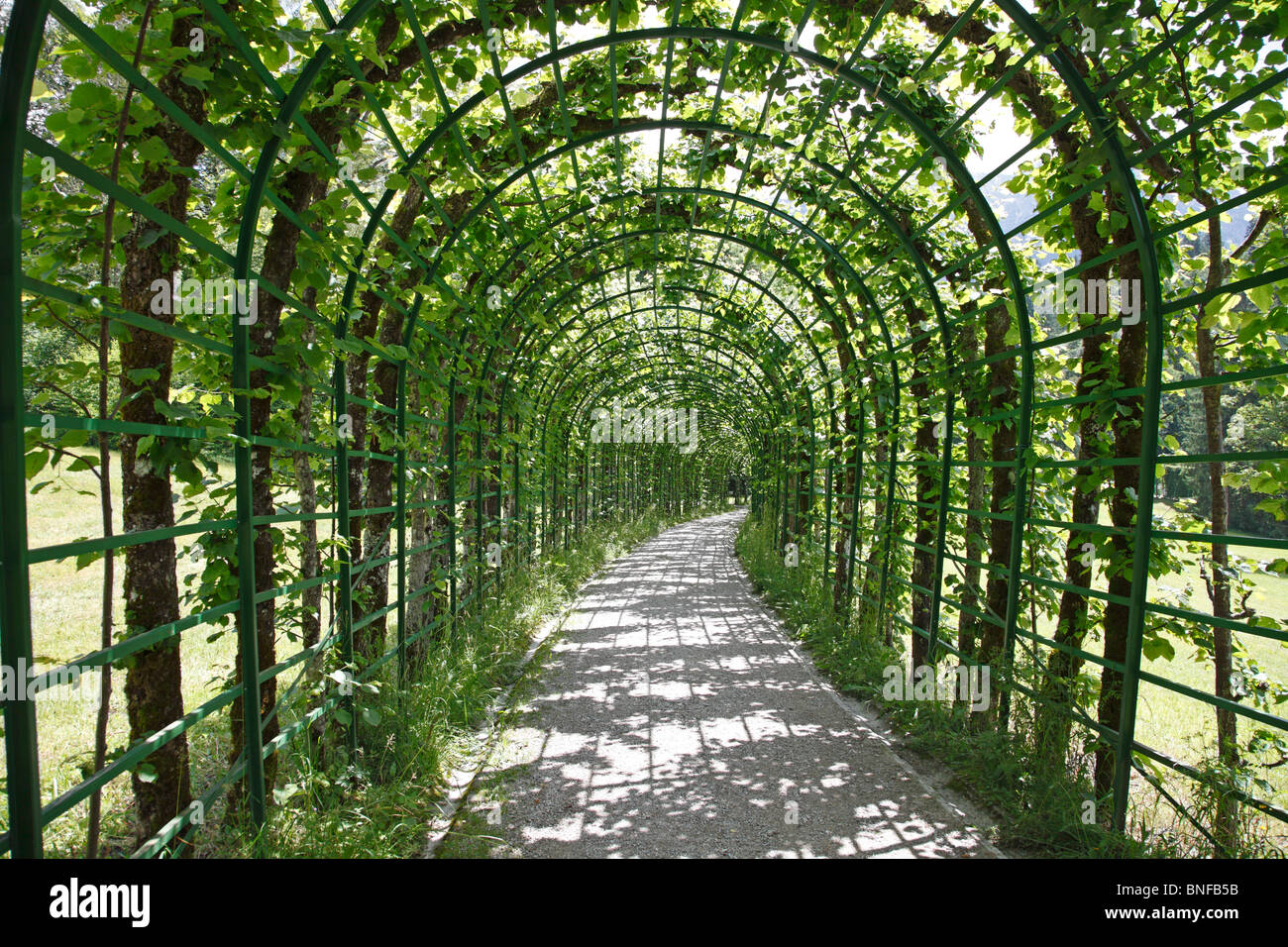 The green pergola archway in the baroque garden at the baroque castle Linderhof Graswangtal near Ettal in Bavaria, Germany. Stock Photo