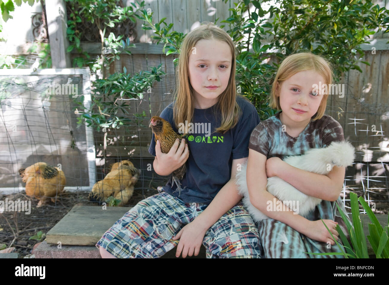 children holding chickens in the urban backyard chicken coop Stock