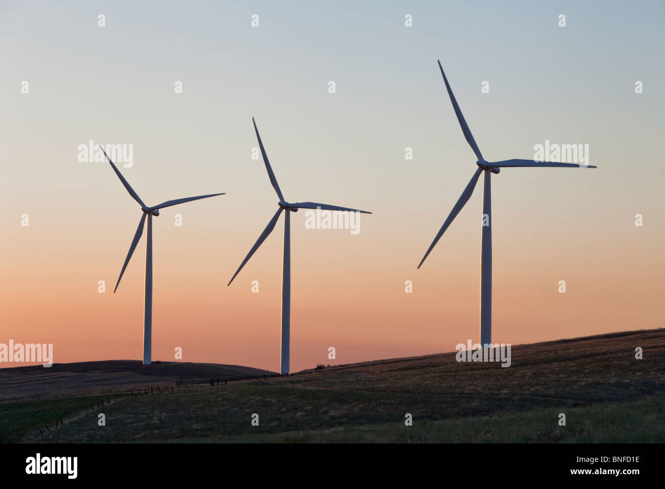 Wind farm, turbines first light, Stock Photo