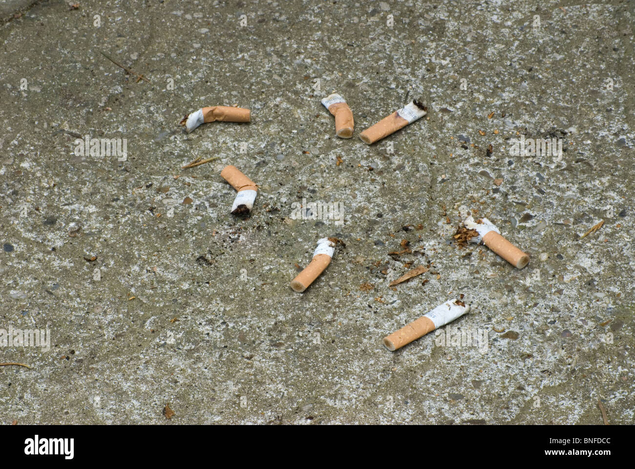 Picking Up Litter - Cigarette Ends Stock Photo