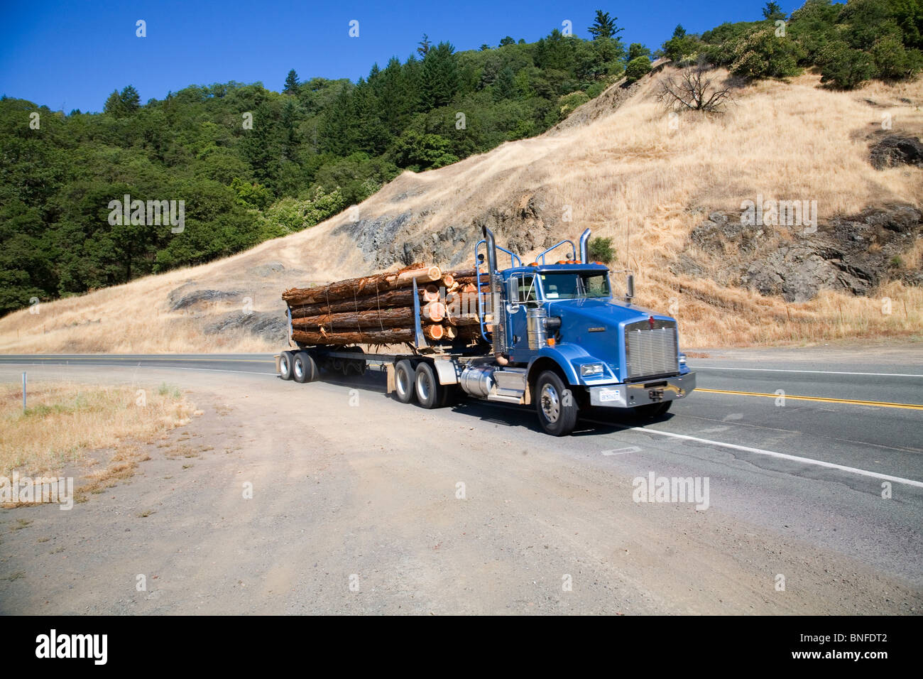 A logging truck carrying redwood and cedar longs on a California coastal highway Stock Photo