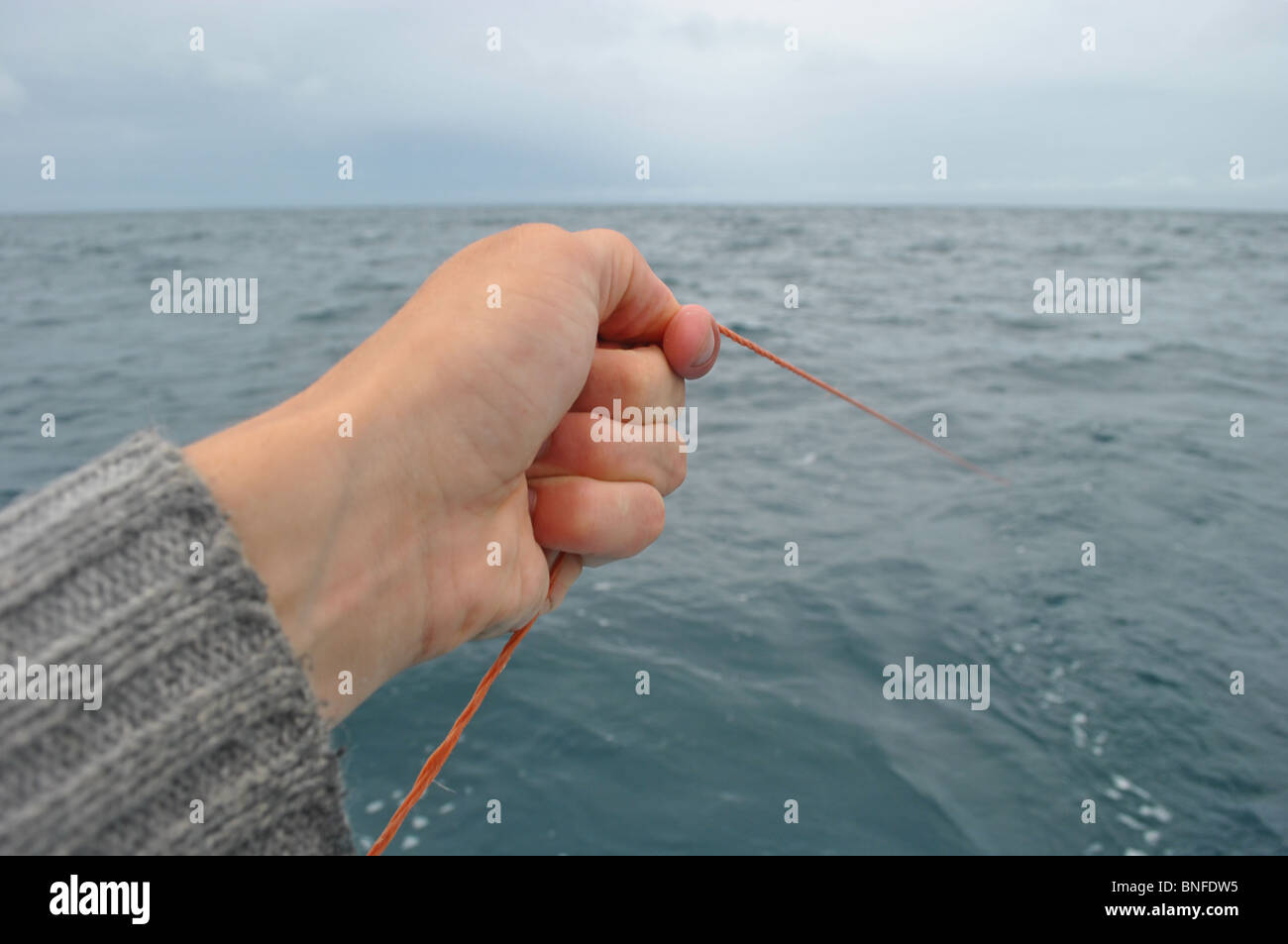 Spanish mackerel fish caught on hook and fishing line in ocean Stock Photo  - Alamy