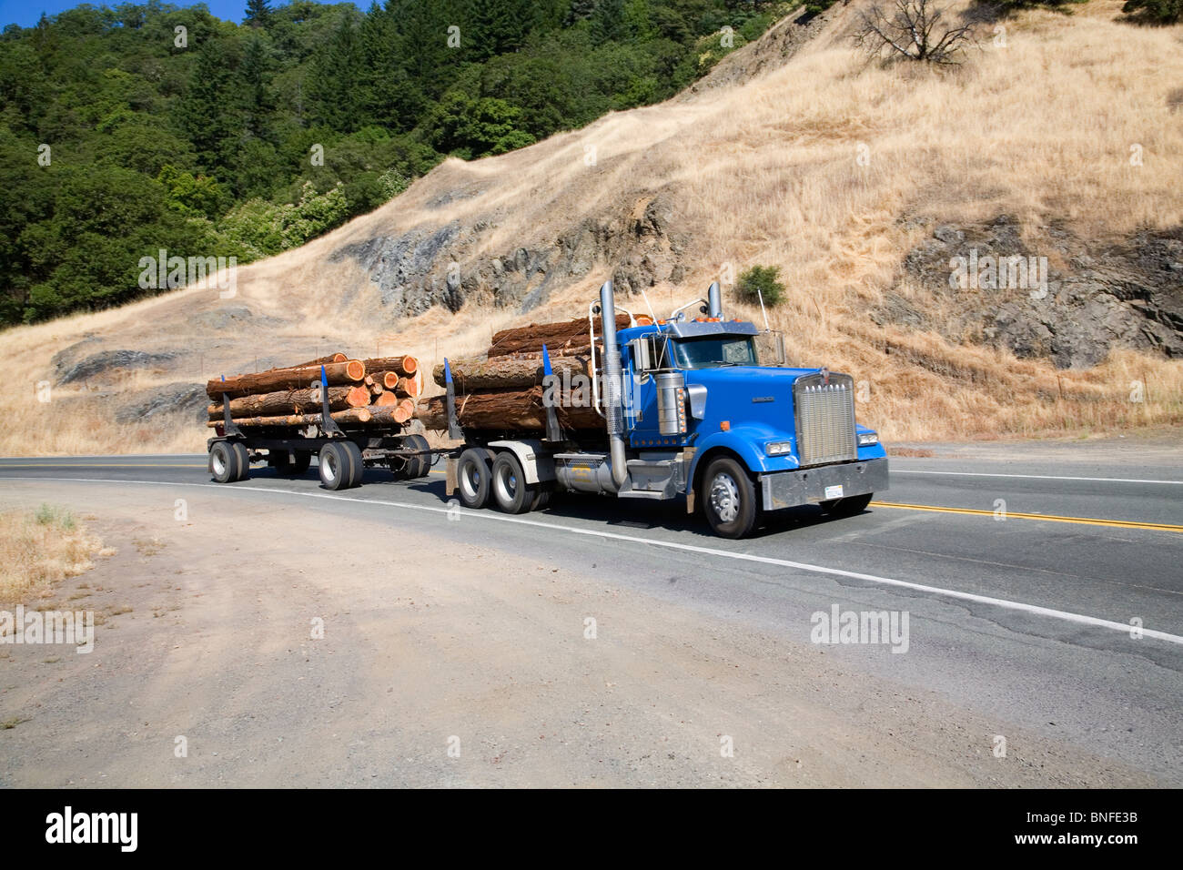 A logging truck carrying redwood and cedar longs on a California coastal highway Stock Photo