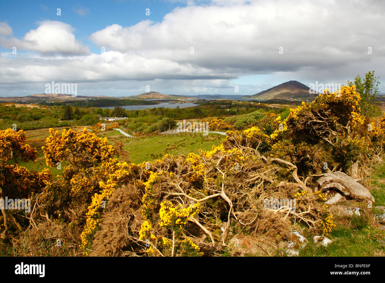 View of Ballynakill Harbour from the Diamond hill path,Letterfrack,Connemara national park,western Ireland,Eire. Stock Photo