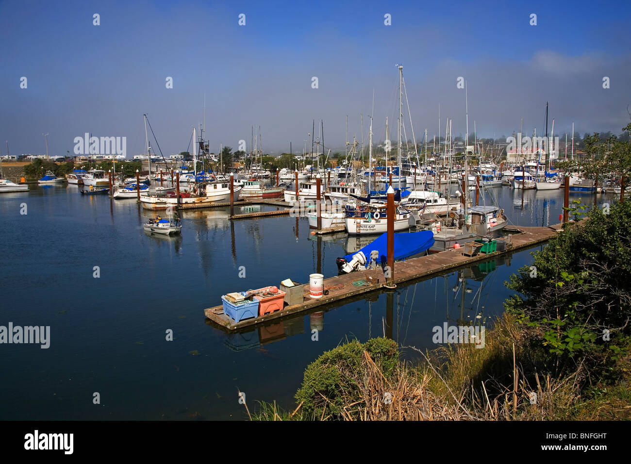 Brookings oregon harbor hi-res stock photography and images - Alamy