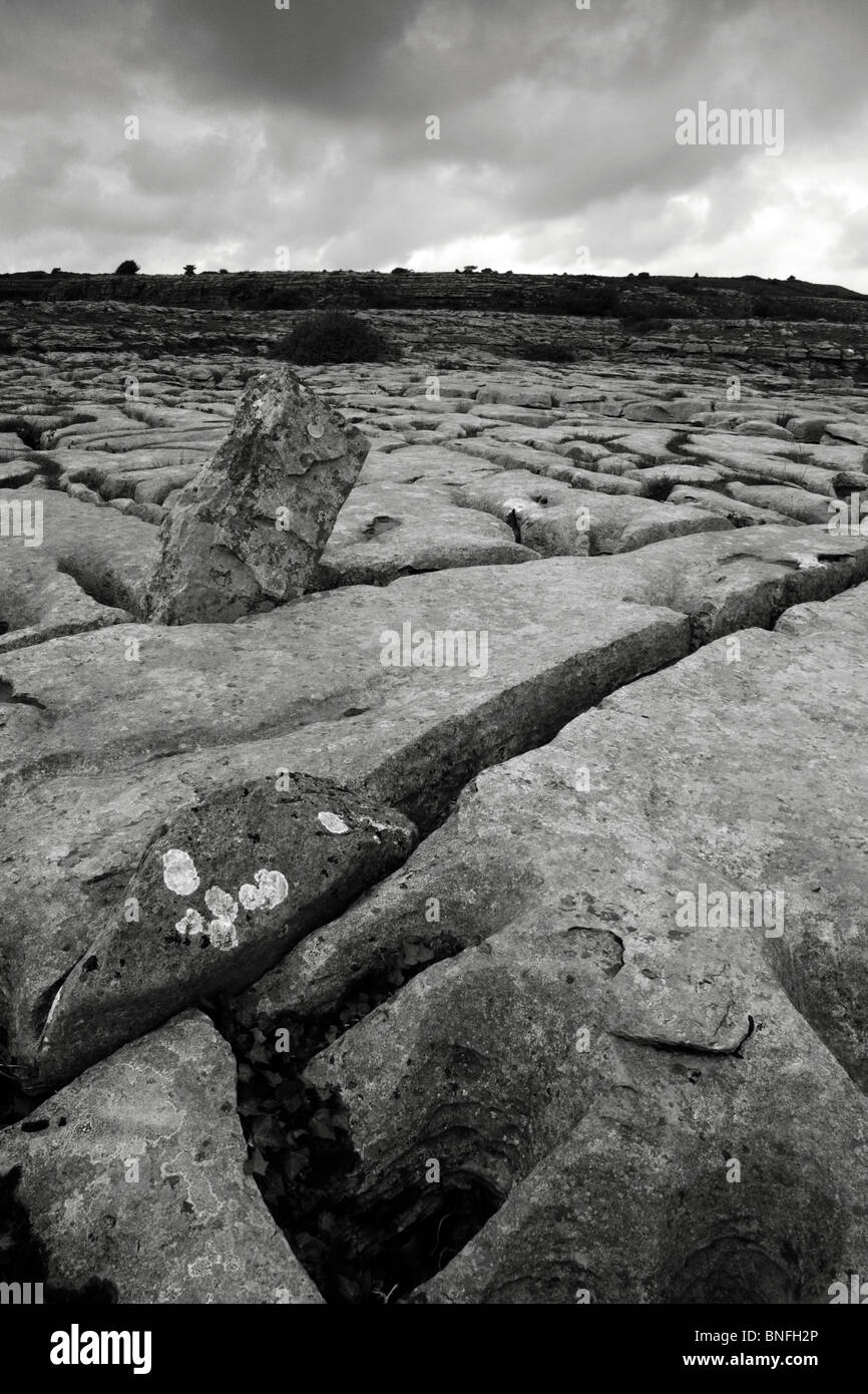 The Burren,Co Clare,Western Ireland,Eire. Stock Photo