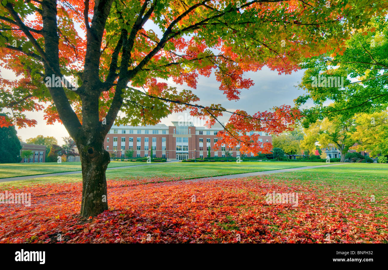 Oregon state university hi-res stock photography and images - Alamy