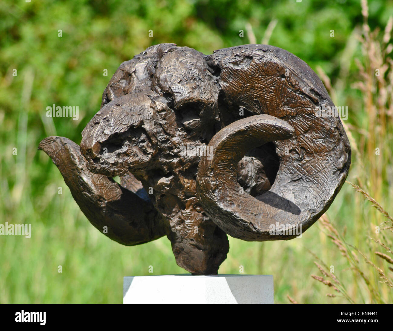 Sculpture of a Ram's Head in a garden, Dorset, England Stock Photo