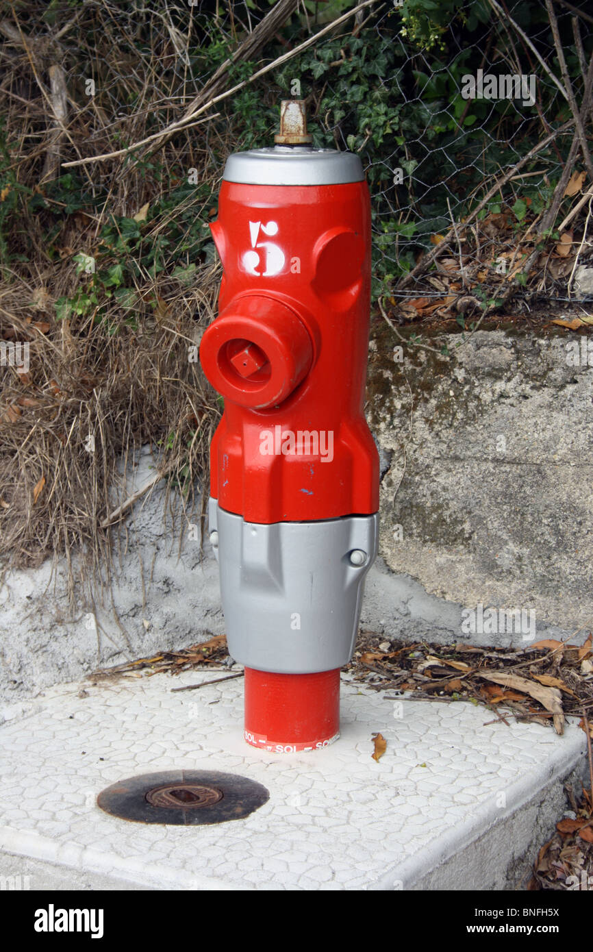 Fire Hydrant resembling popular notion of an alien being. Stock Photo