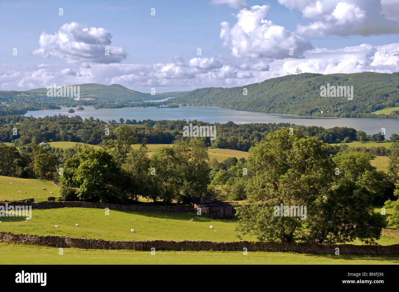 Pasture land above Windermere Lake District Cumbria England Stock Photo