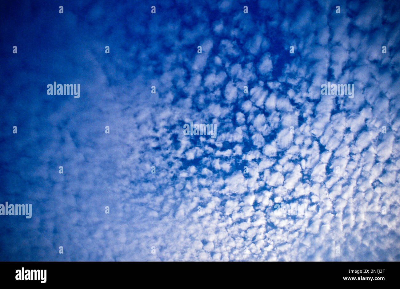 Dark blue speckled hi-res stock photography and images - Alamy
