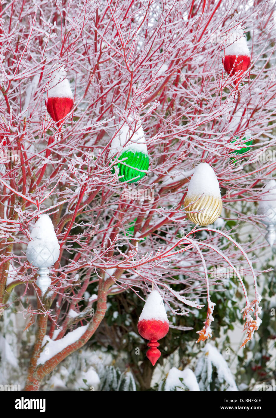 Large Christmas balls with snow. Stock Photo