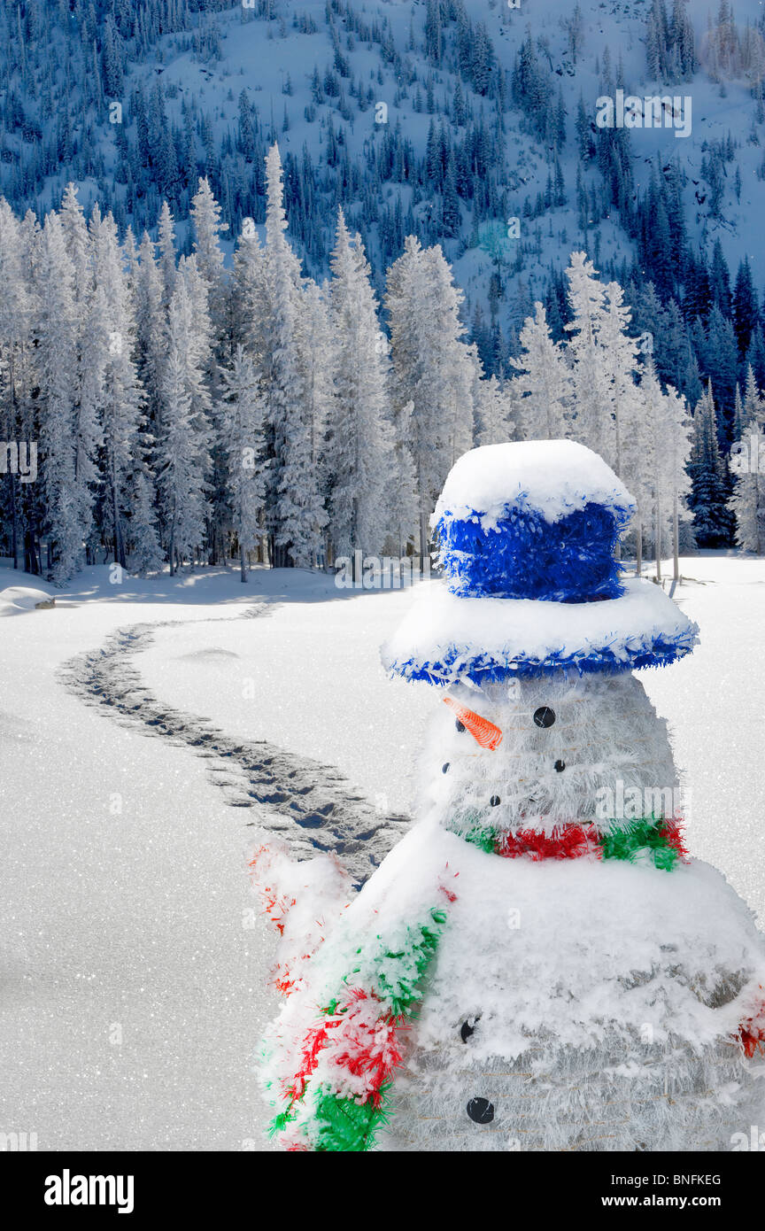 Snow shoe tracks at Anthony Lakes in winter Stock Photo Alamy