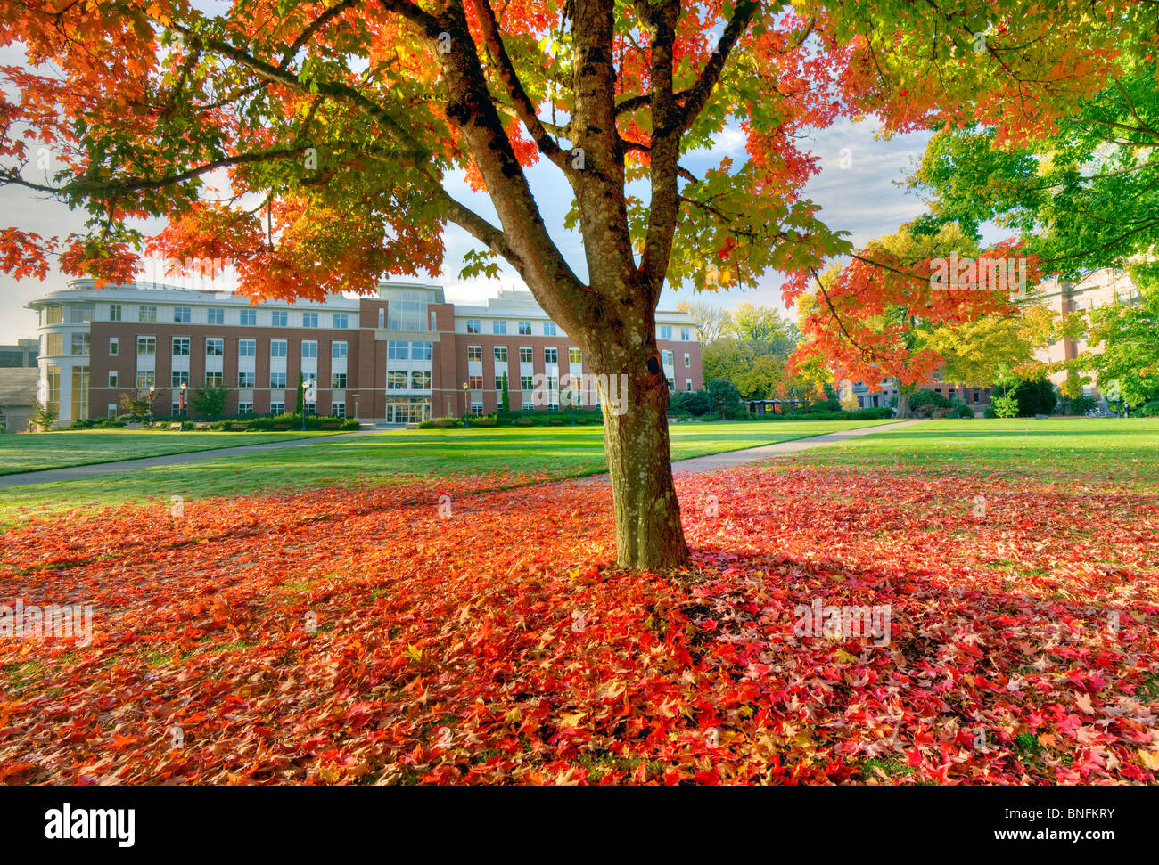 Buy a dissertation online oregon state university Buy a dissertation online oregon state university