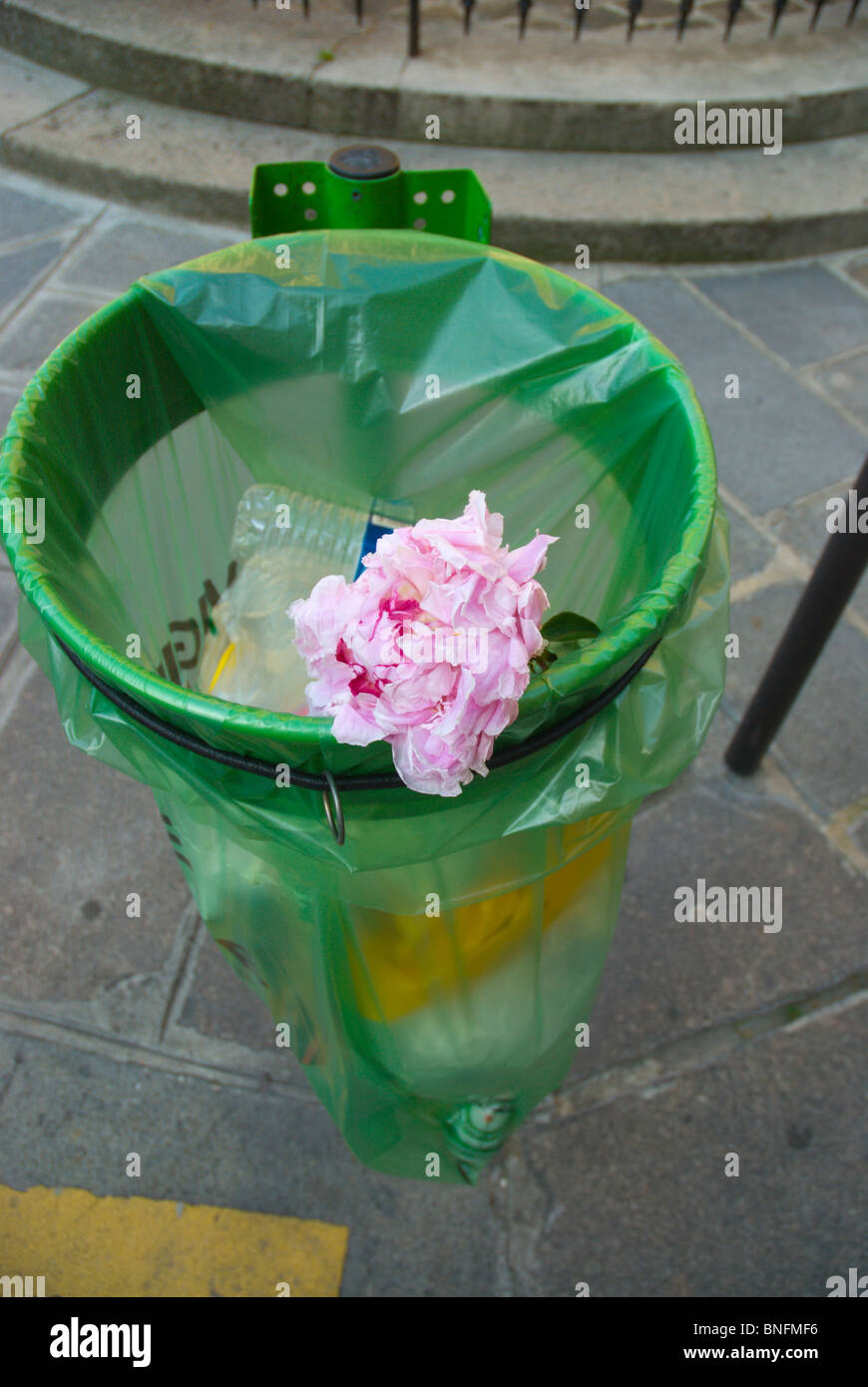 Flower in a bin Paris France Europe Stock Photo