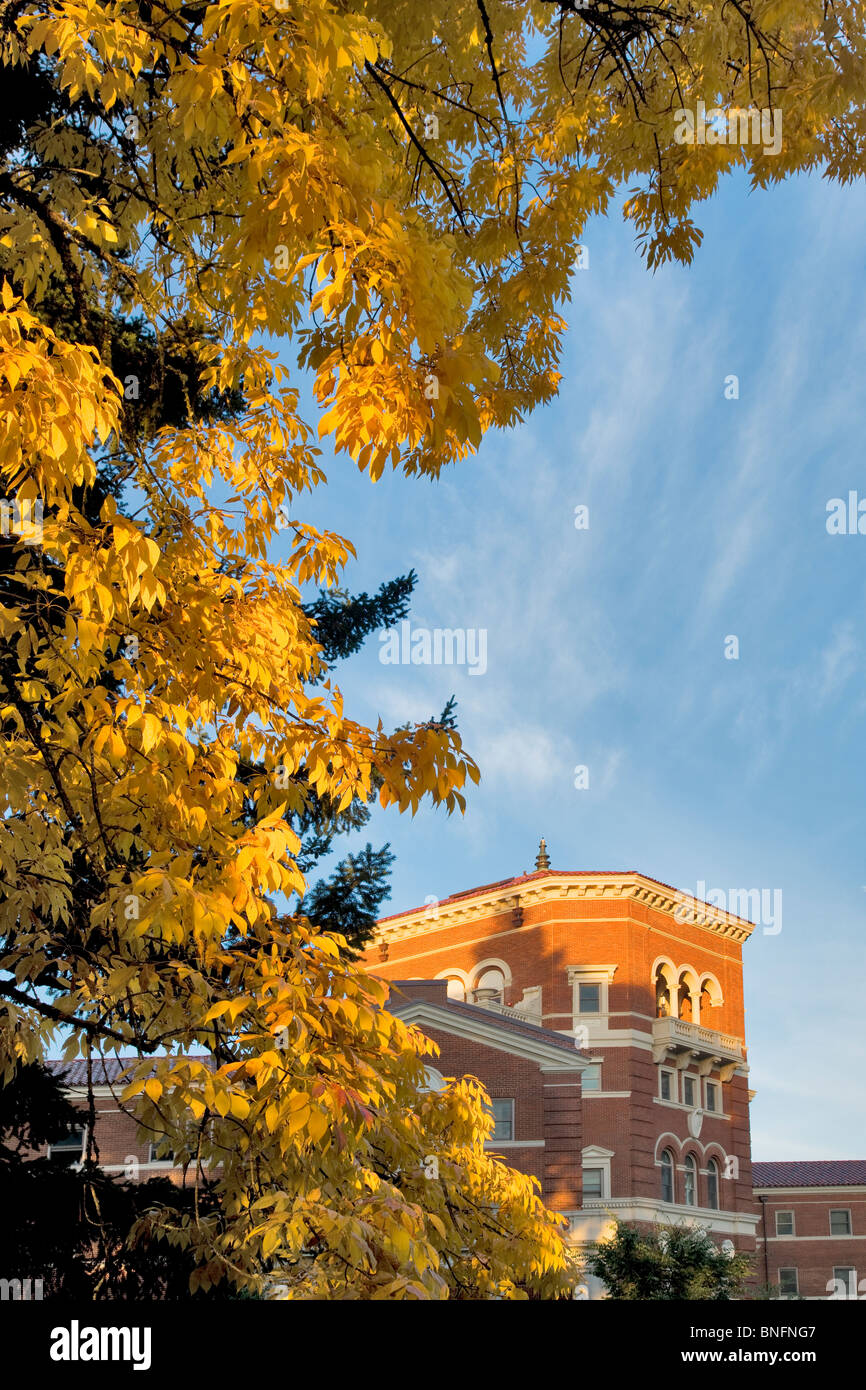Weatherford Residential College building with fall color. Oregon State University. Stock Photo