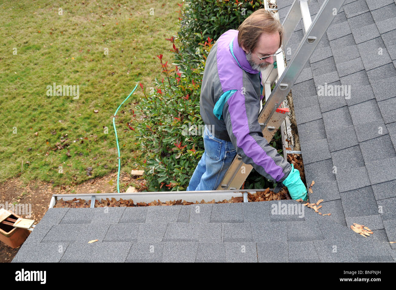 Man cleaning gutters on ladder Stock Photo Alamy