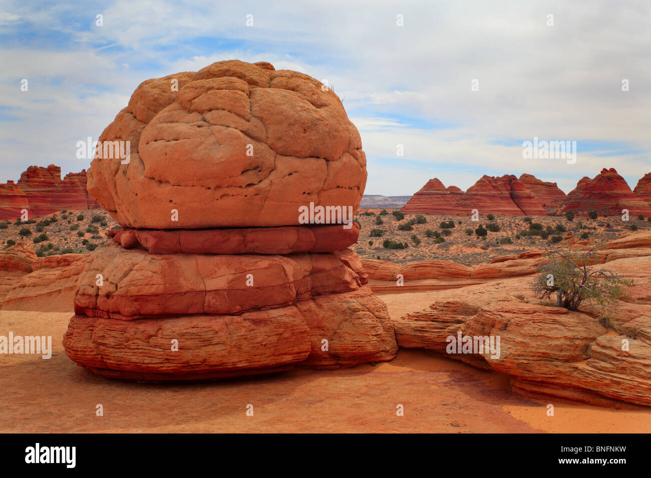 Eroded sandstone formation resembling a hamburger in Vermilion Cliffs National Monument, Arizona Stock Photo