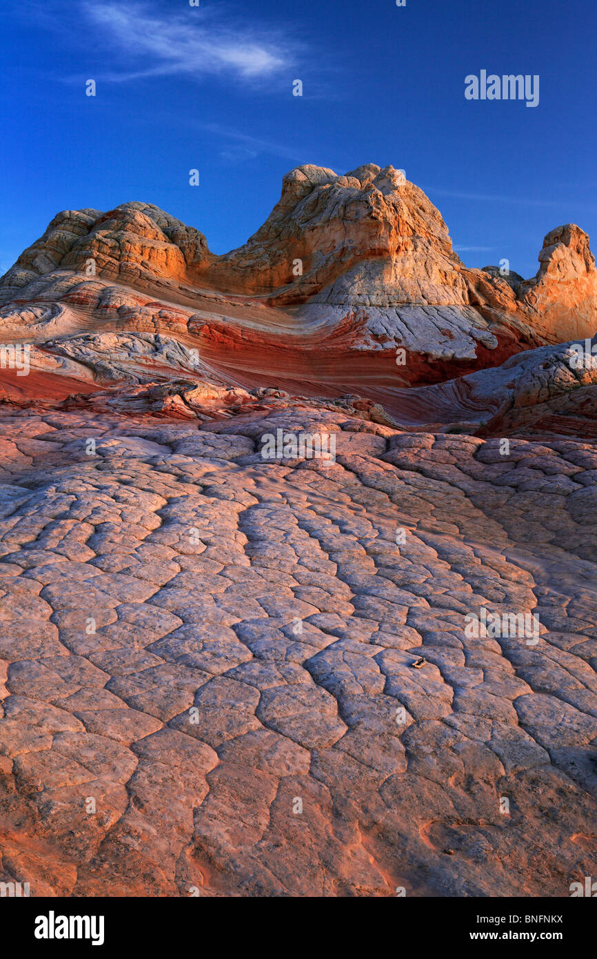 'Brain' sandstone rock formations at 'White Pocket' in Vermilion Cliffs National Monument, Arizona Stock Photo