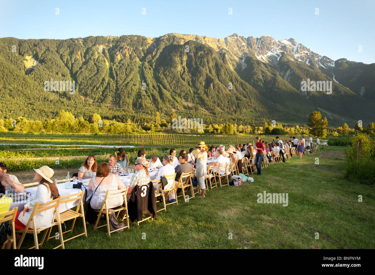 Outstanding in the Field dinner hosted at the North Arm Farm, Pemberton