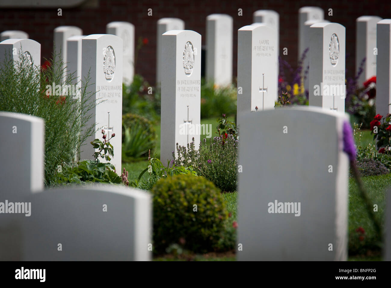 Gravestones in the new British War Graves Commission's cemetery in Fromelles, France holding the bodies of  WW1 soldiers Stock Photo