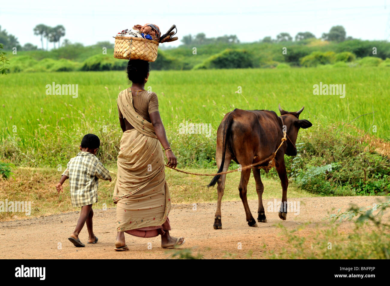 Life A Village Shot From Tamil Nadu Stock Photo Alamy