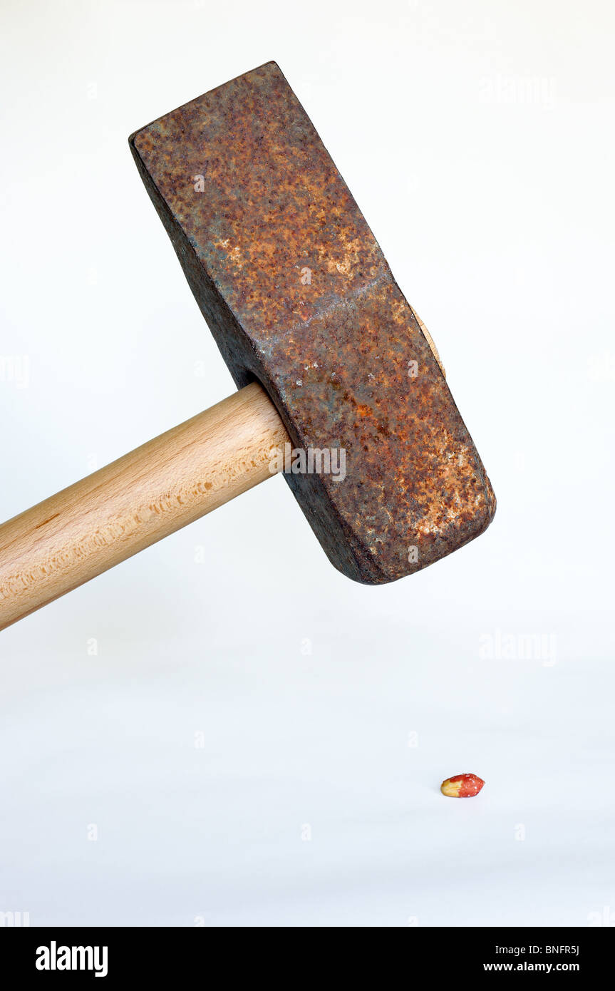 Rusty sledgehammer about to crack a peanut Stock Photo