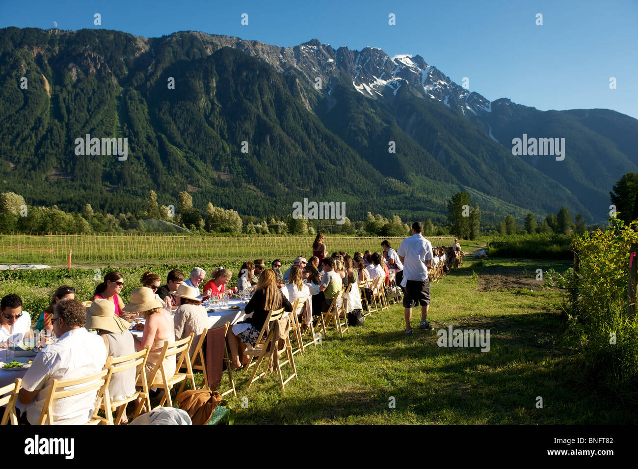 Outstanding in the Field dinner hosted at the North Arm Farm, Pemberton
