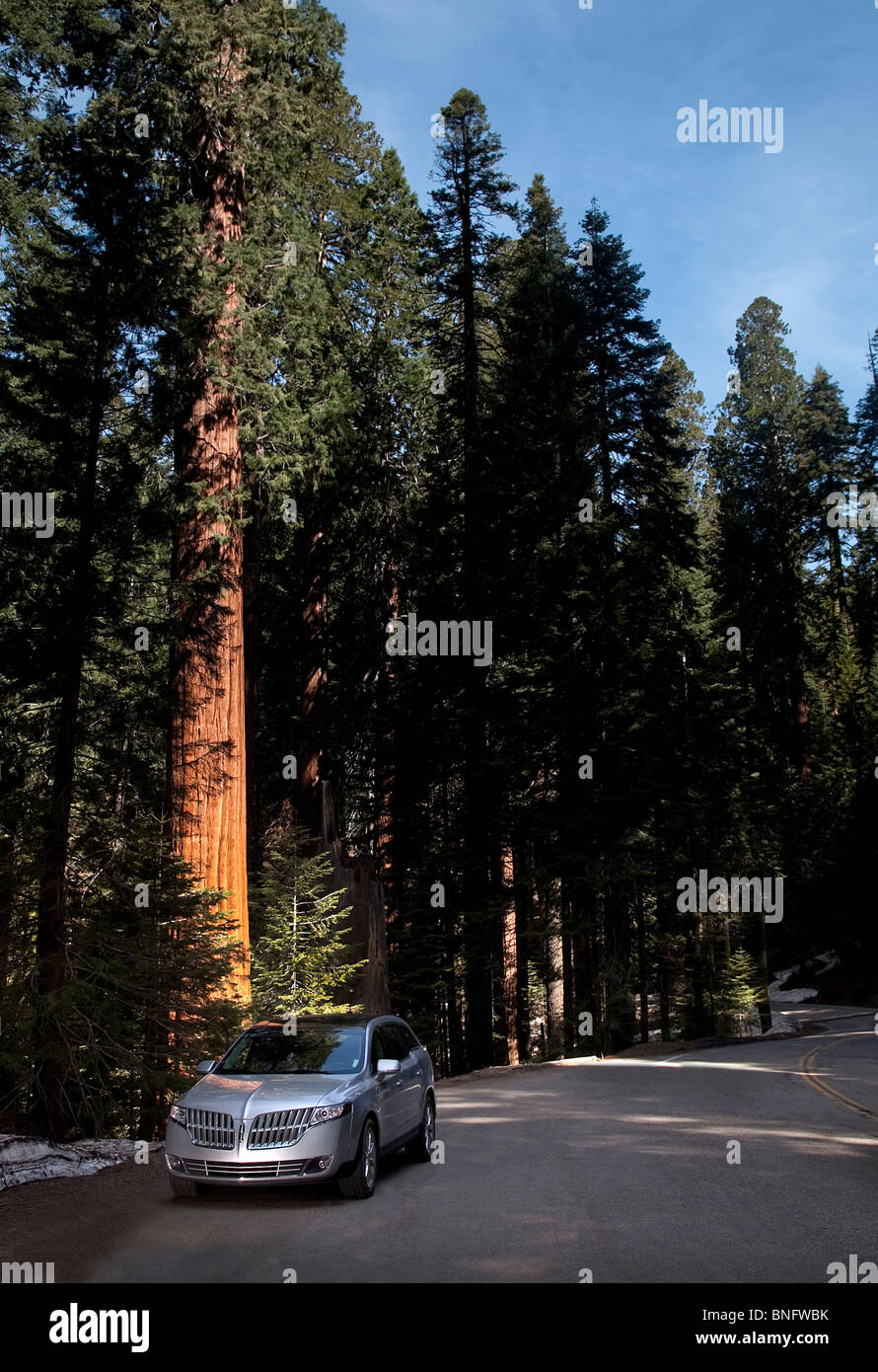 Lincoln MXT in General's Hwy Kings Canyon National Park CA USA Stock Photo